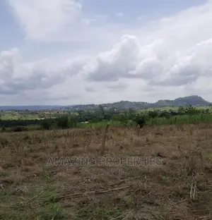 Vast Land for Sale at Tsopoli