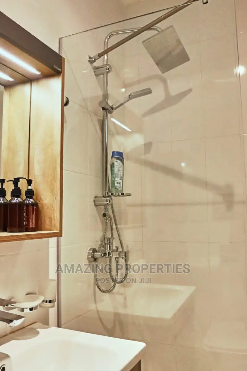 Furnished 2bdrm Apartment in Cantonments 2 for rent