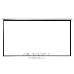 Manual Pull Down Projector Screen 250×250CM