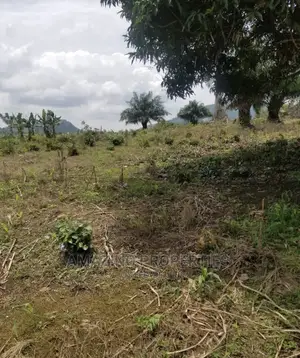 150 Acres of Land at East Legon Hills