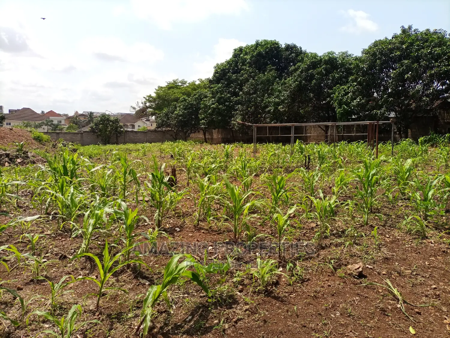 For Sale
2 Plots of Land at Tse-Addo,Per Plot 
Land Titled