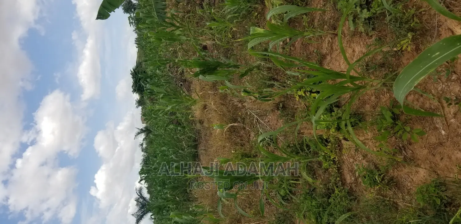 Land for Sale at Santasi Darko New Site