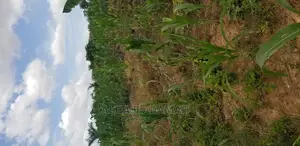 Land for Sale at Santasi Darko New Site