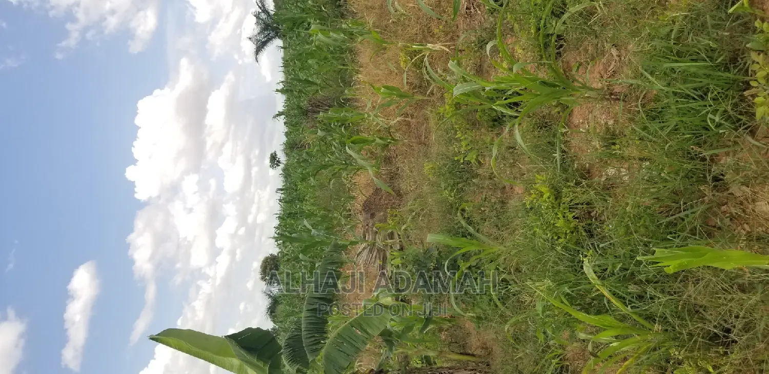 Land for Sale at Santasi Darko New Site