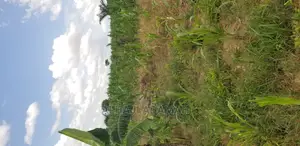 Land for Sale at Santasi Darko New Site
