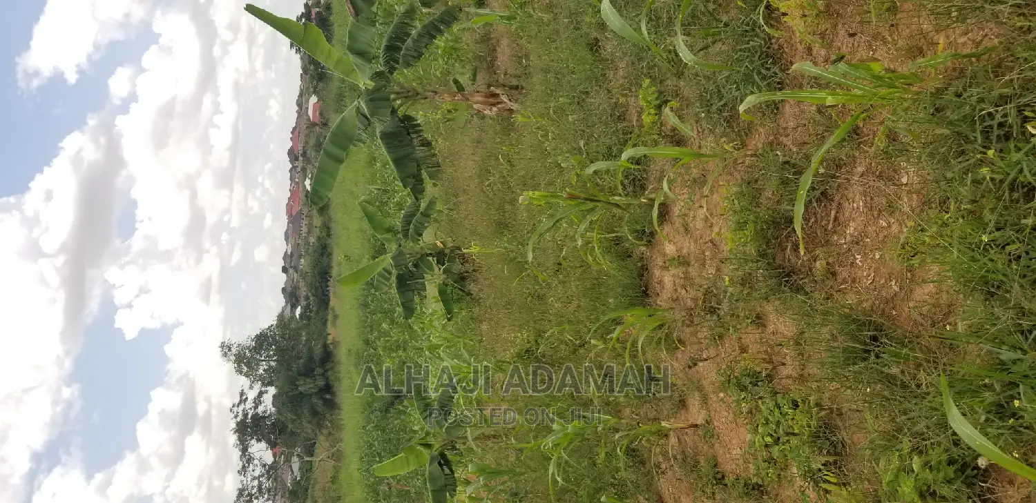 Land for Sale at Santasi Darko New Site