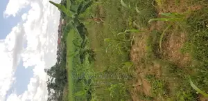 Land for Sale at Santasi Darko New Site