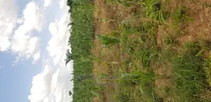 Land for Sale at Santasi Darko New Site