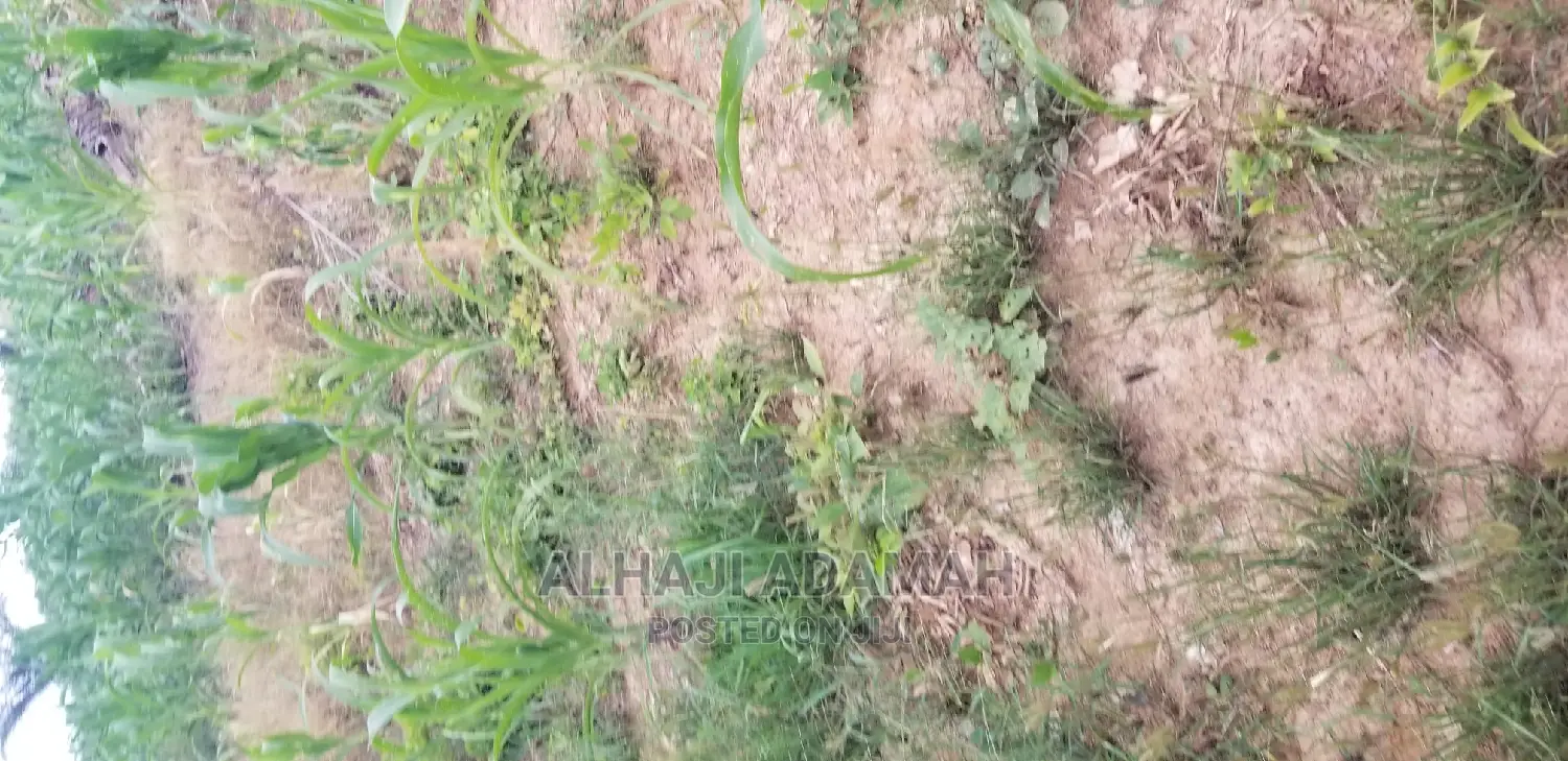 Land for Sale at Santasi Darko New Site
