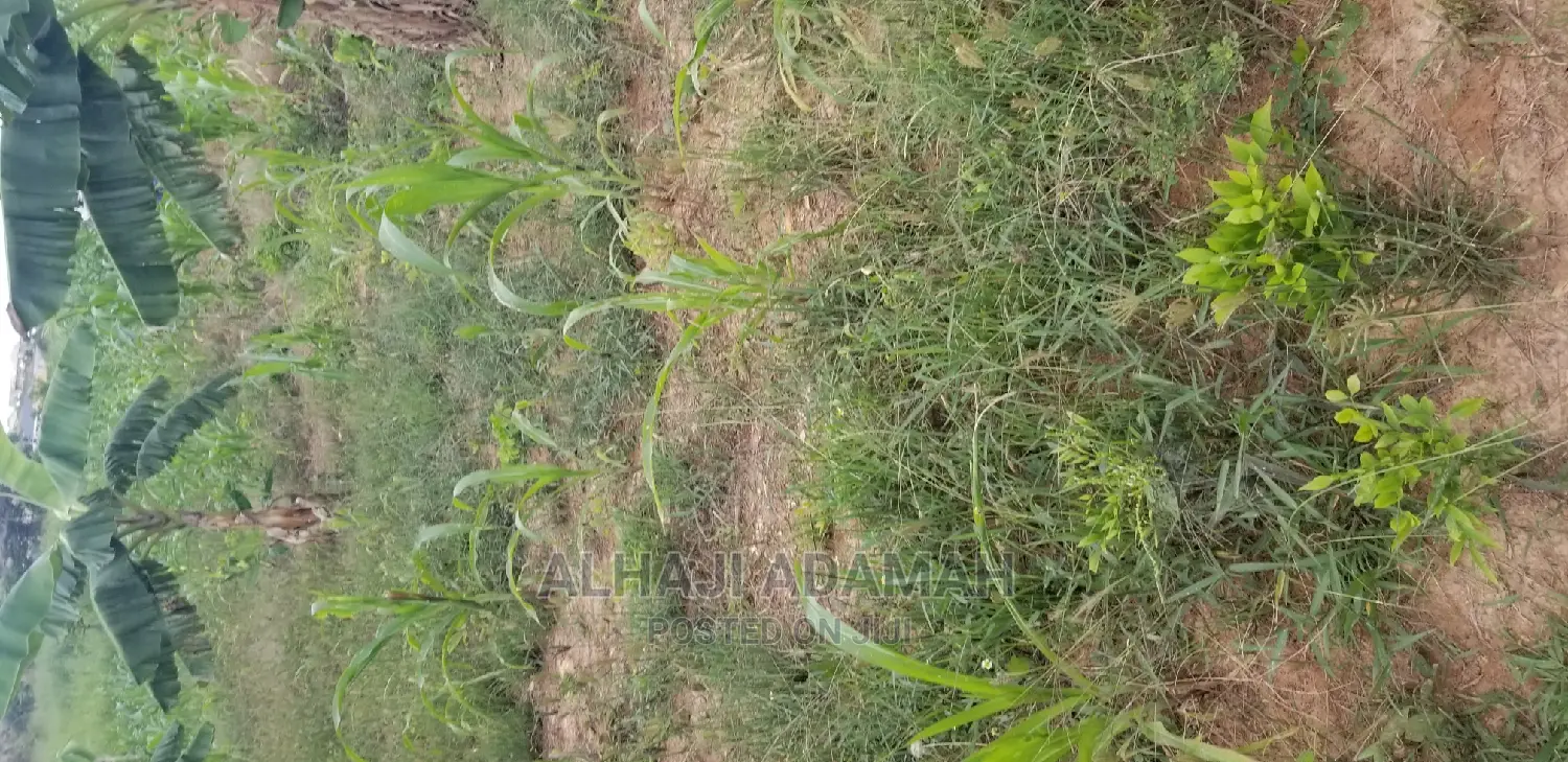 Land for Sale at Santasi Darko New Site
