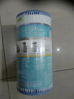 Intex Filter Cartridge A