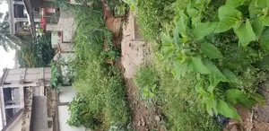 Land for Sale at Santansi Darko