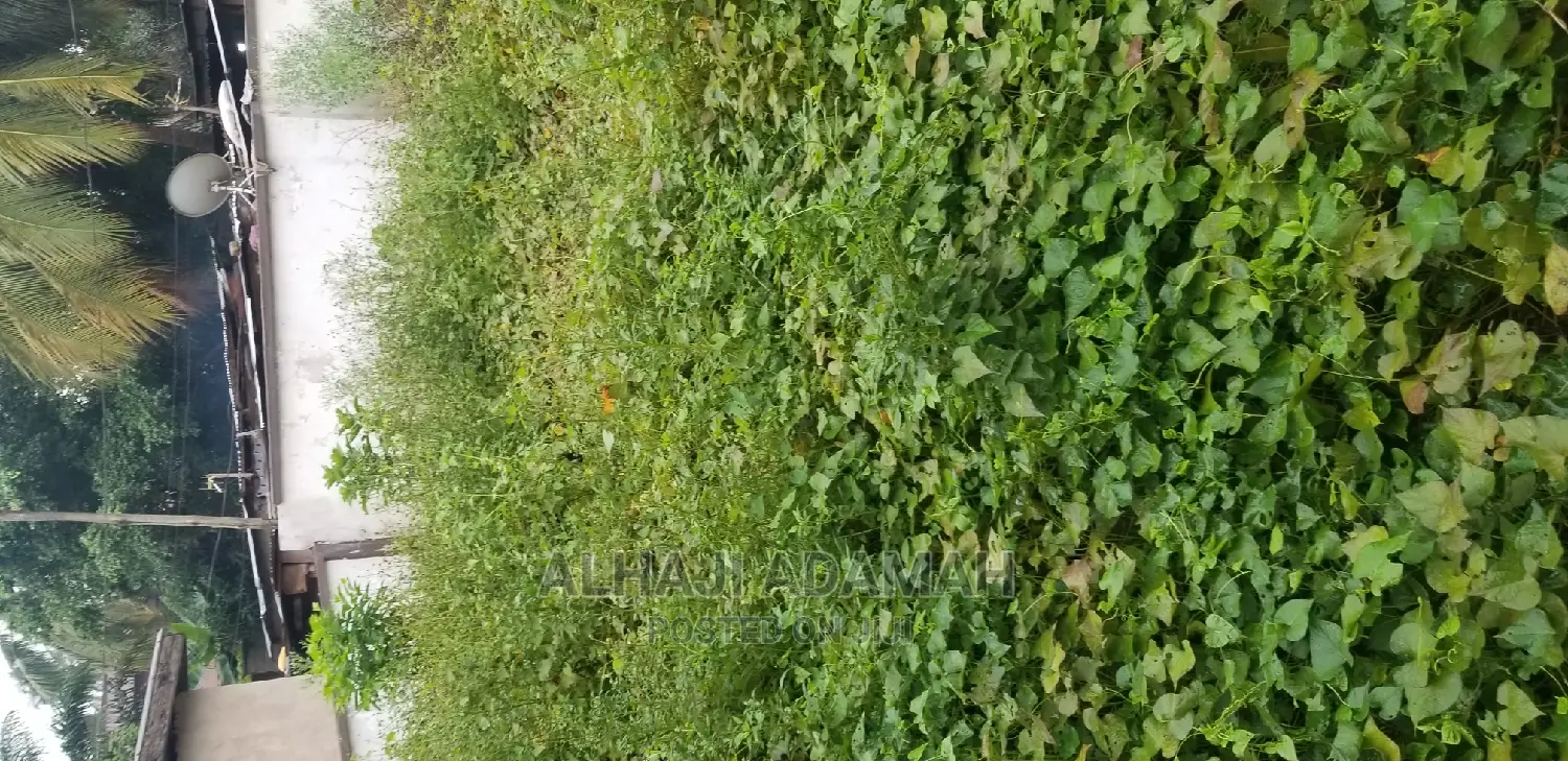 Land for Sale at Santansi Darko