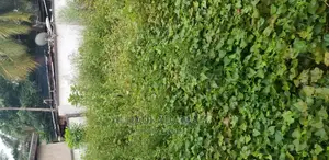 Land for Sale at Santansi Darko