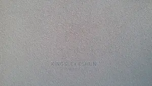 Tyrolean/Spraying Wall or House
