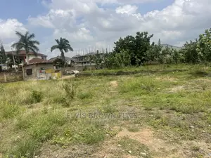 Two Plots of Land for Sale at TRASACCO Area