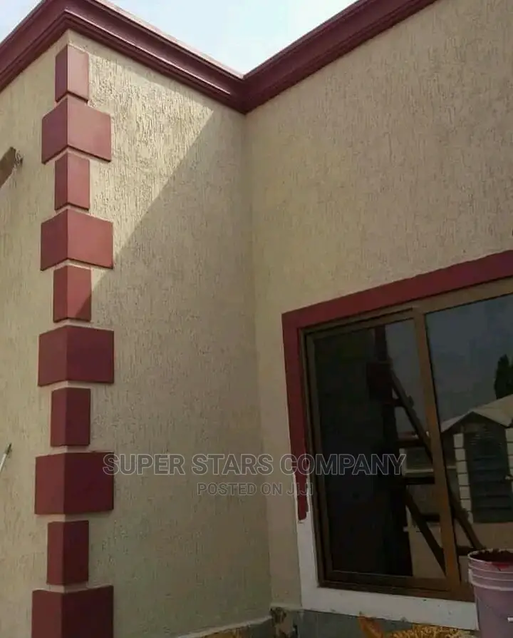 Professional Painter