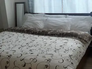 Furnished 2bdrm Apartment in East Legon for rent