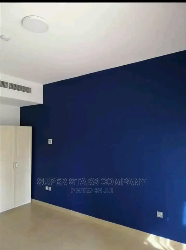 Proffessional Painting