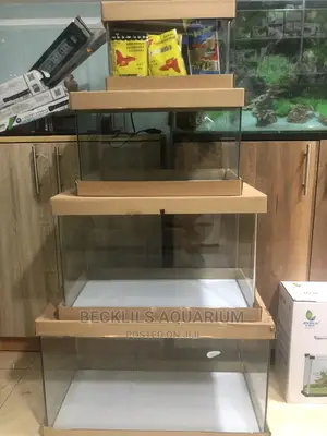 Open Aquariums