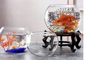 Glass Bowls N Fish