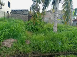 A Half Plot of Land for Sale at Tseaddo