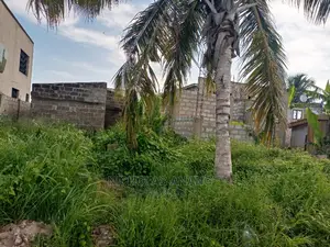 A Half Plot of Land for Sale at Tseaddo