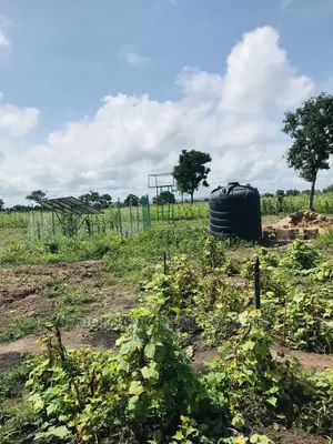 Affordable Farmlands at for Sale in Kintampo