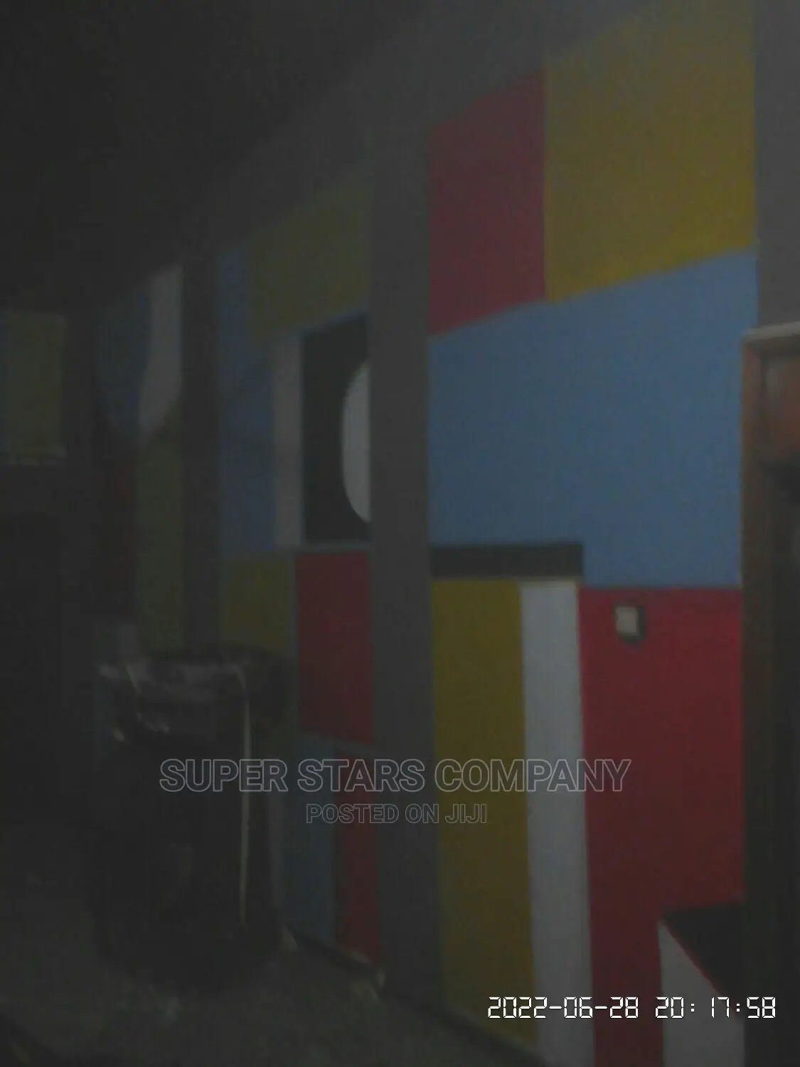 Professional Painter