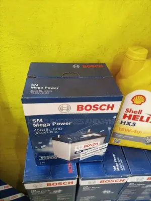 11 Plates Bosch Battery - Small Pole