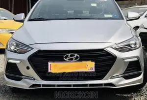 Hyundai Elantra 17 Bumper Spec