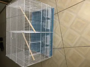 Parrot Cages N More