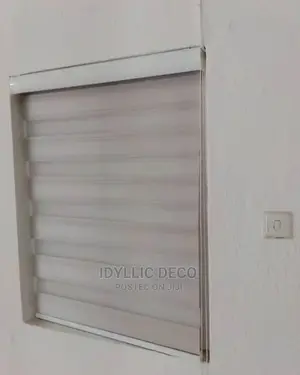 Agreeable Window Blinds Curtains