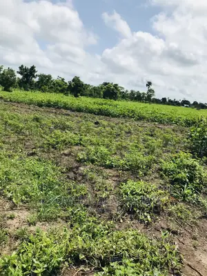 Negotiable Affordable Farmland at Kintampo 5000+ Acres