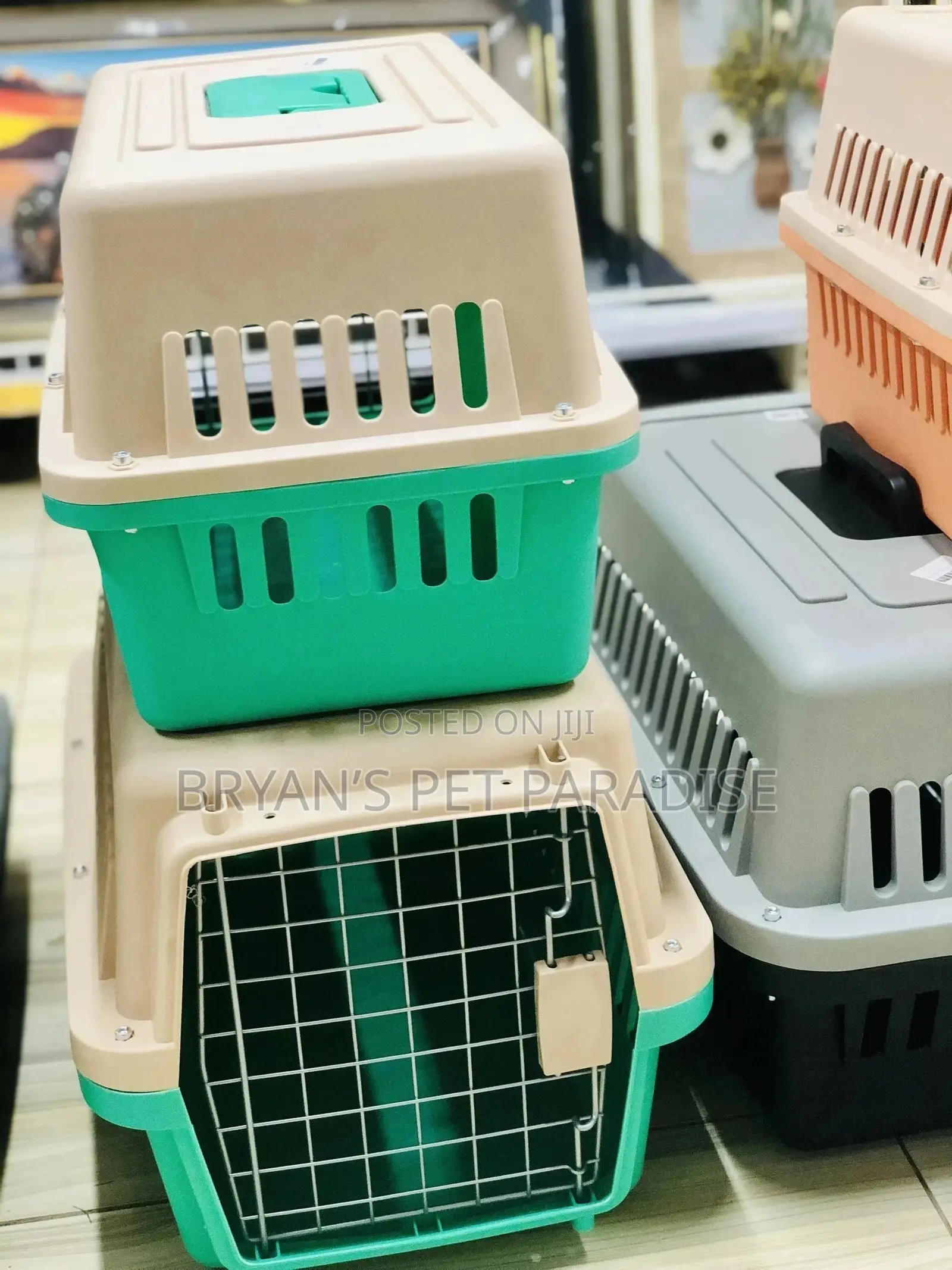 Small Size Plastic Cages