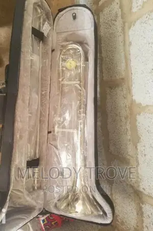 Silver/Gold Trombone
