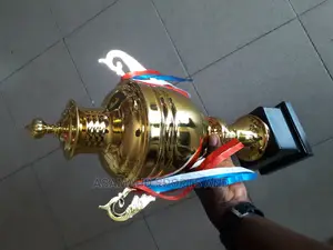 Original Football Trophy at Cool Price