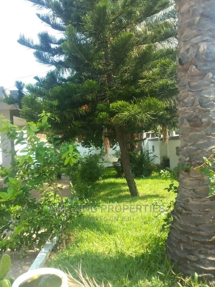 5plots of Roadside Land Available for Sale at Ridge,