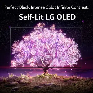 New 2021 Lg Oled 65 A1 Ultra 4K Smart Tv With Built in Alexa