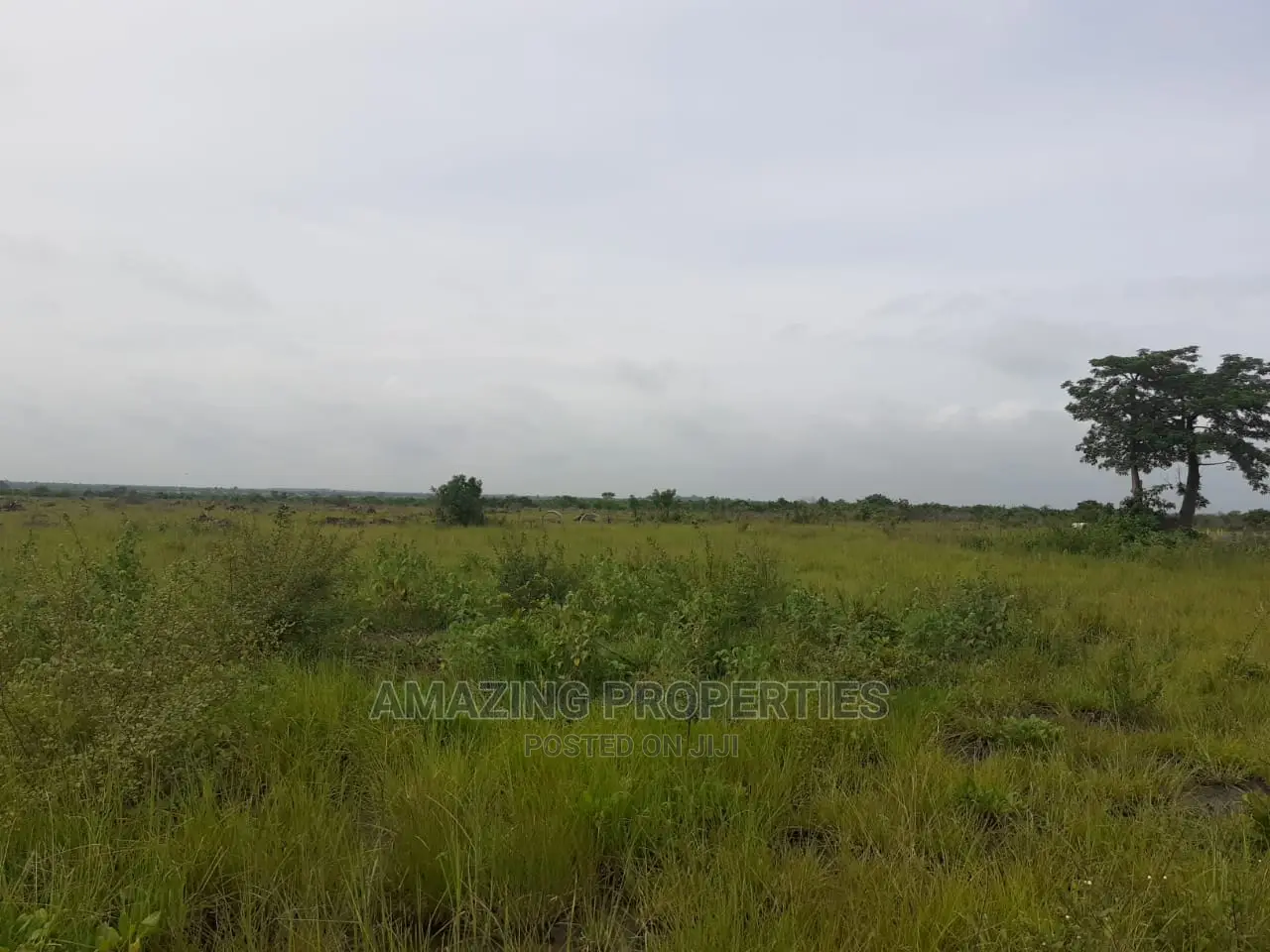350 Acres of Land at Doryumu