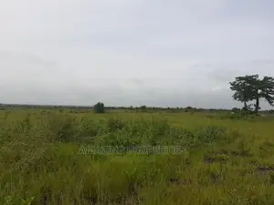 350 Acres of Land at Doryumu