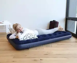 Succulent Airmattress + Pump