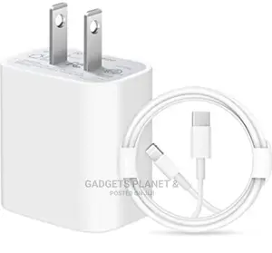 Apple Type C to Lightening Charger