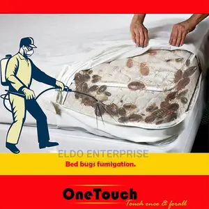 Bed Bugs Fumigation Services