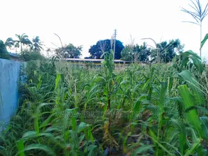 3 Plots of Land at Spintex Regimanuel
