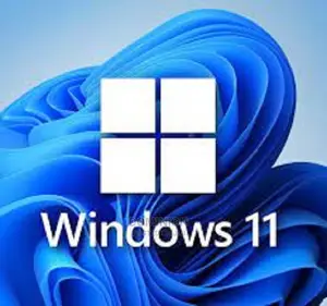 Windows 11 Professional Lincence Key