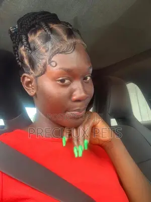 Box Braid Wig 001