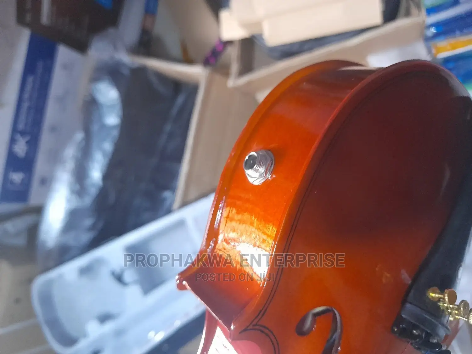 Semi Acoustic Violin