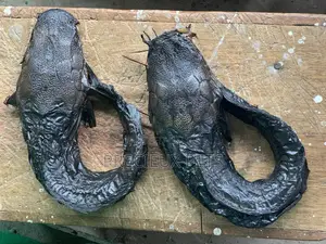 Dry Catfish