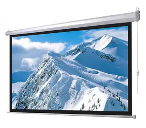 250cm X 250cm Electronic Projector Screen